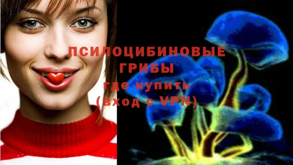 прущие грибы Беломорск