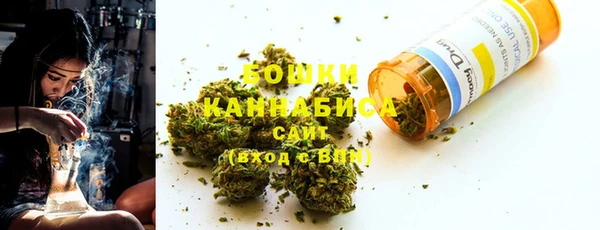 прущие грибы Беломорск