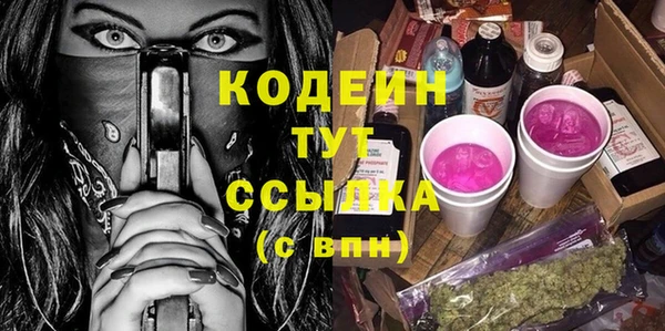 дживик Белокуриха