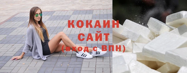 прущие грибы Беломорск
