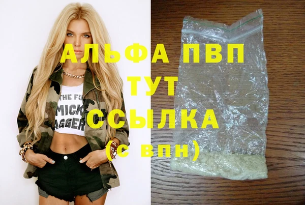 прущие грибы Беломорск