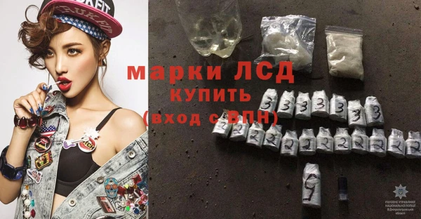 прущие грибы Беломорск