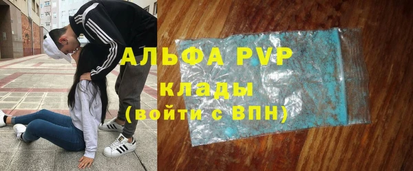 дживик Белокуриха