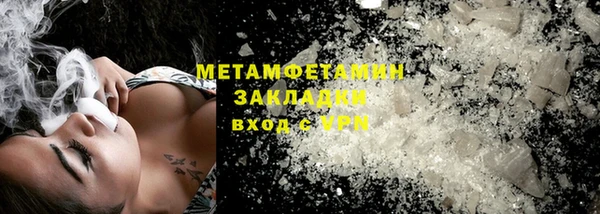 прущие грибы Беломорск