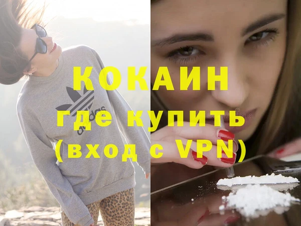 прущие грибы Беломорск