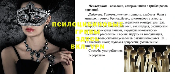 дживик Белокуриха