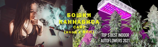 дживик Белокуриха